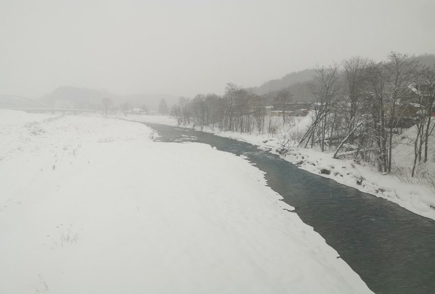 北海道｜2020 [我要去玩雪] Day4 旭川動物園。美瑛