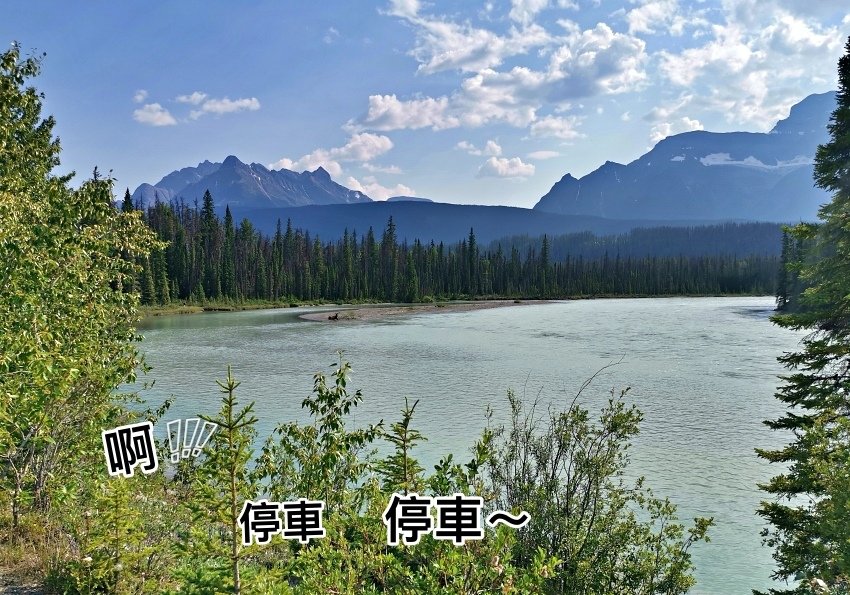 加拿大｜2023 [洛磯山脈開露營車] Day7-2  Wa
