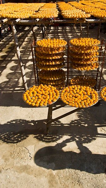_DSC0040.jpg