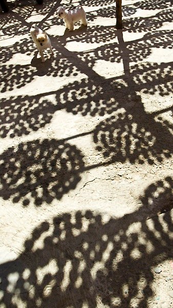 _DSC0164.jpg
