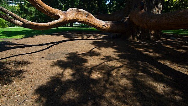 _DSC3876.jpg