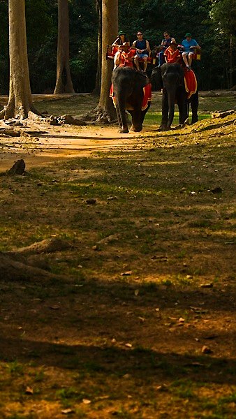 025.jpg