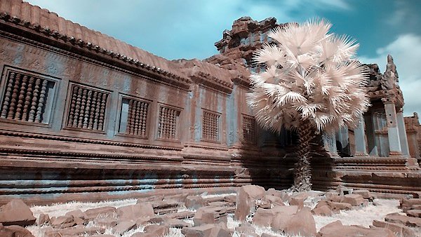 054.jpg