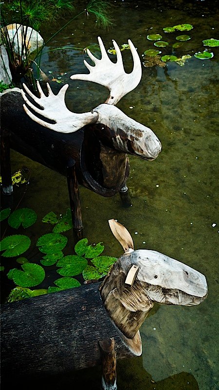 _DSC8528.jpg