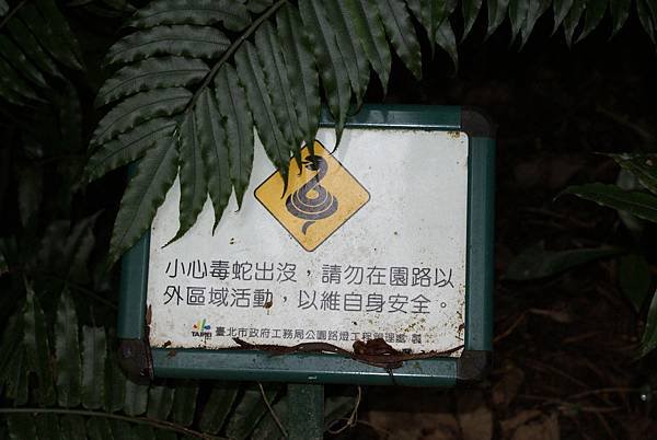 DSC07947.JPG