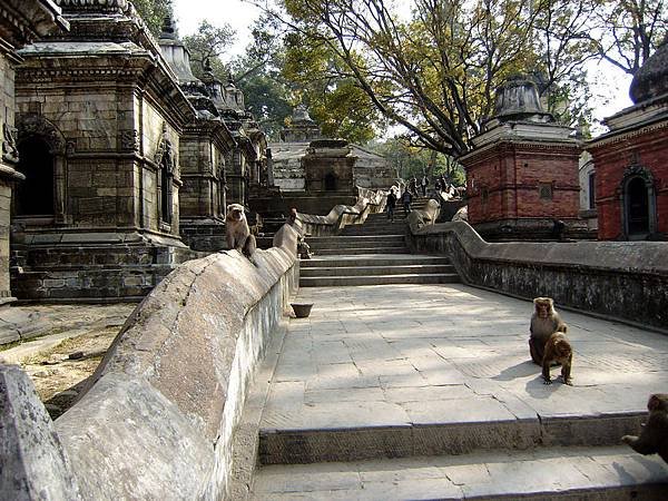 尼泊爾之旅 092-帕蘇帕提那寺外舍利塔