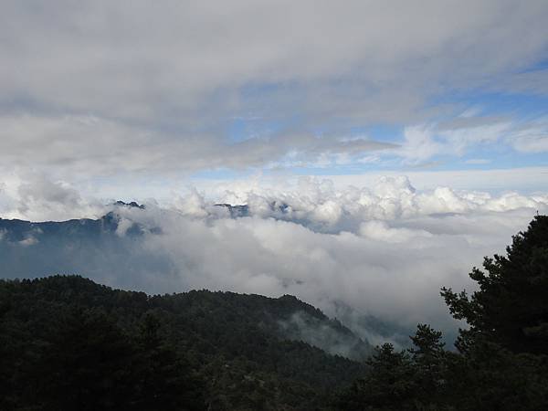 DSC04341