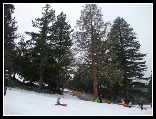 Mt. Baldy