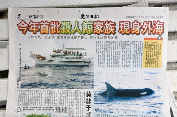 虎鯨by更生日報01.jpg