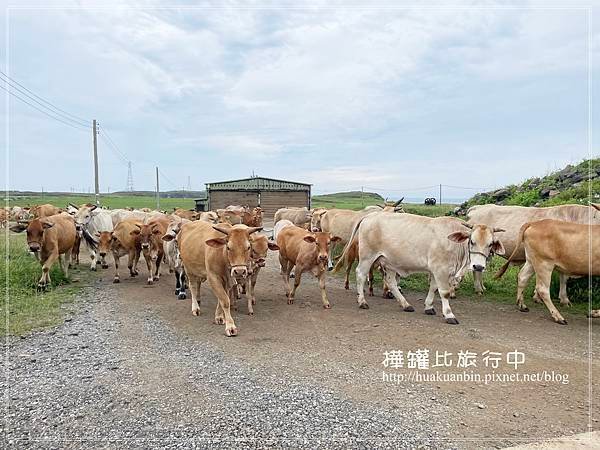 IMG_7186 拷貝.jpg
