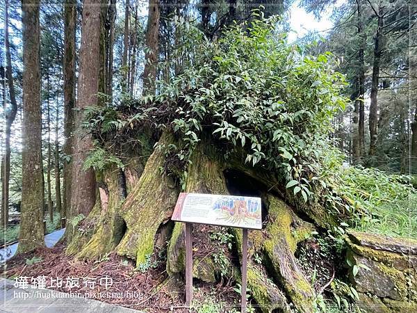IMG_9087 2 拷貝.jpg