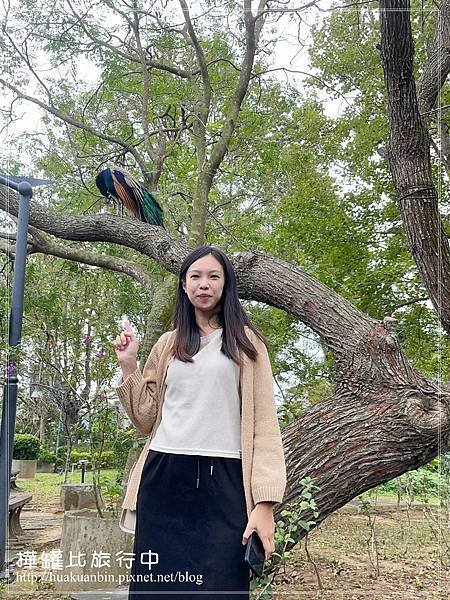 IMG_2620 3 拷貝.jpg