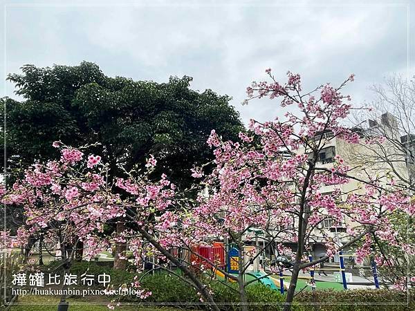IMG_6389 2 拷貝.jpg