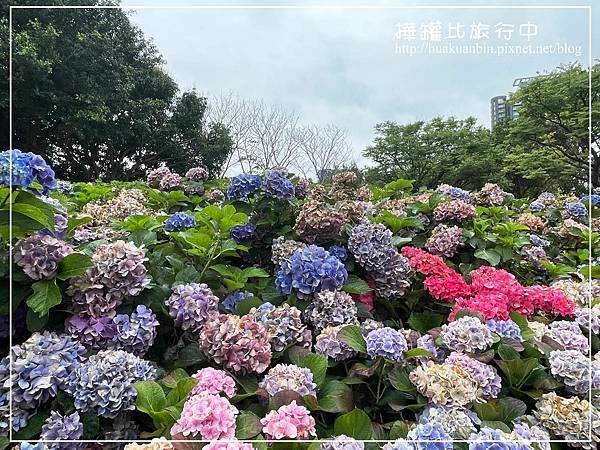 IMG_3762 拷貝.jpg
