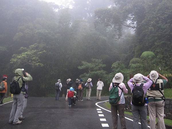 神山-霧中賞鳥-碧霞.jpg