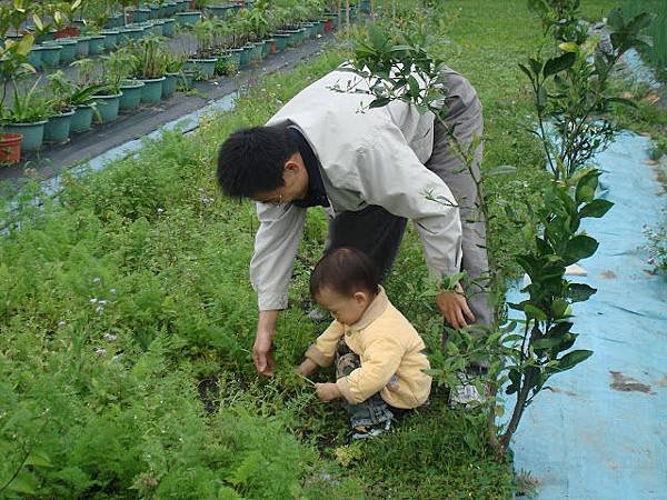 大榮花園-遊客體驗