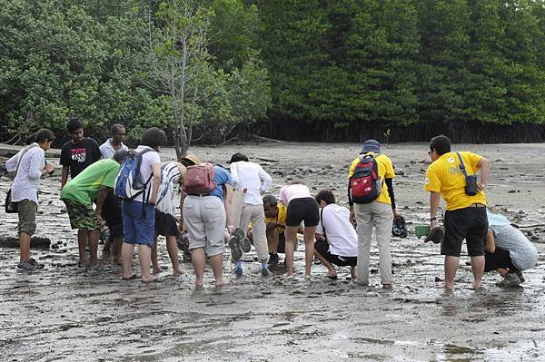 A06-海岸生物探索活動.JPG