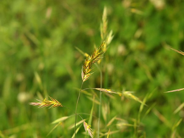 20100606中橫