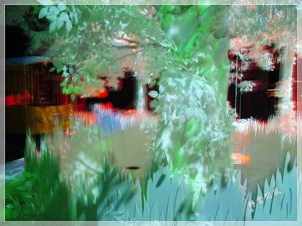 DSCF4555-01
