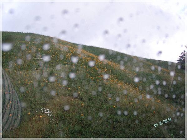 PA070016-01