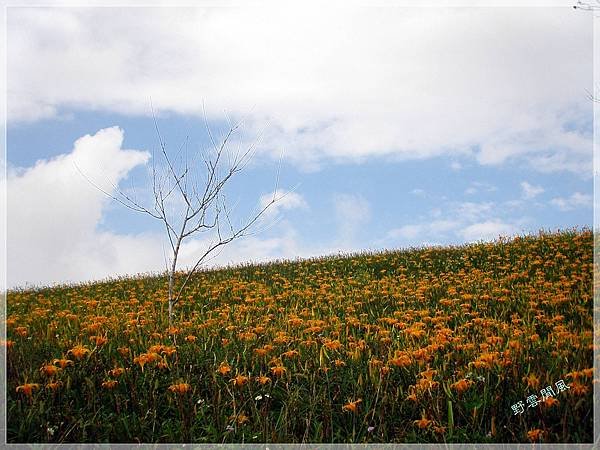 PA070032-01