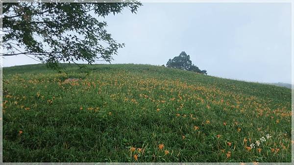 請輸入圖片標題