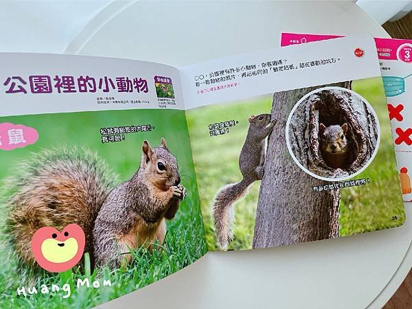 公園裡的小動物