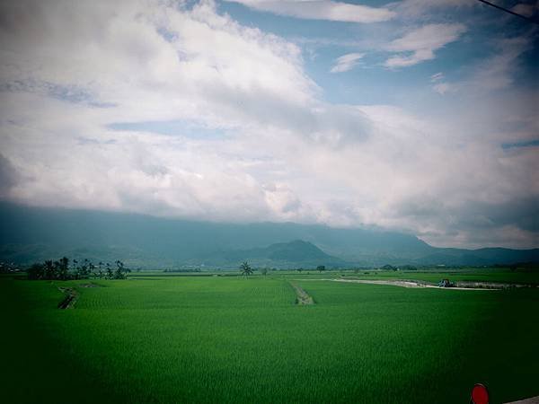 IMG_7072.JPG