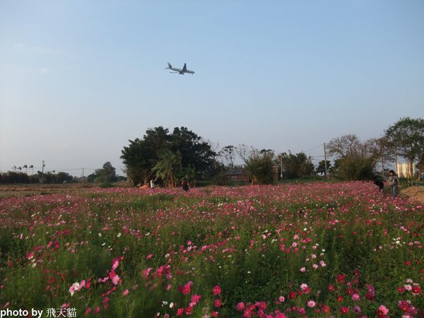 DSCF0870.JPG