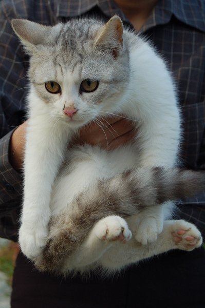 DSC_5593.JPG