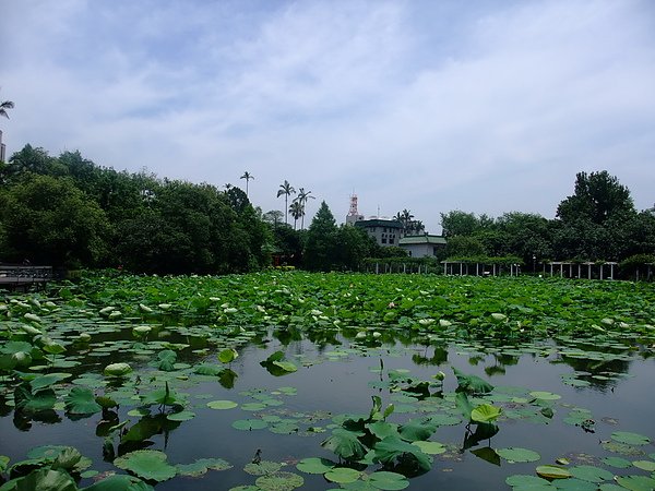 植物園