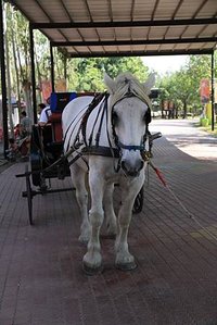 2012-10-21 7D 頑皮世界 021