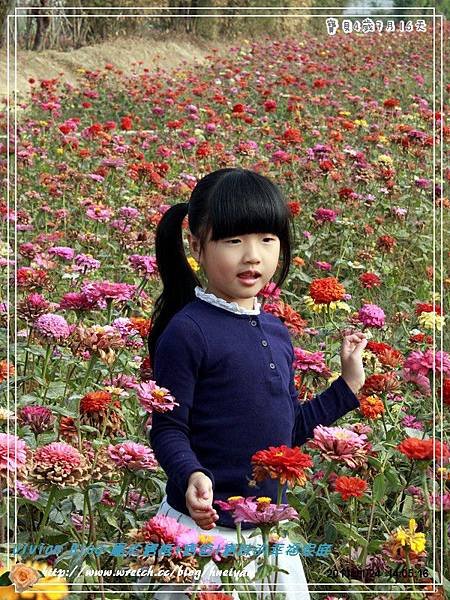 4Y7M-花海火鍋趴IMG_813101.jpg