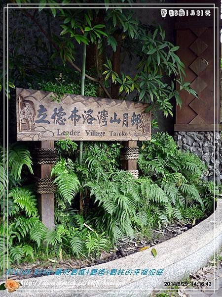 5Y1M-花蓮立德布洛灣P189080201.jpg