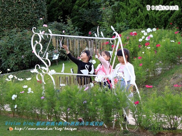 5Y5M-日本行音樂城堡IMG_931301
