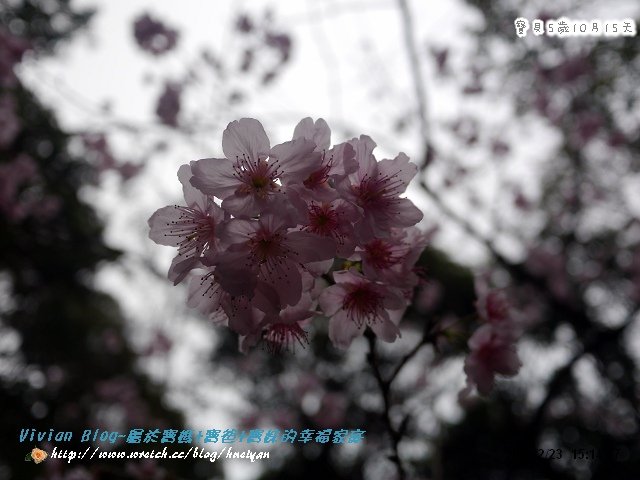 5Y10M-89海鮮&amp;碧山巖P212028901.jpg