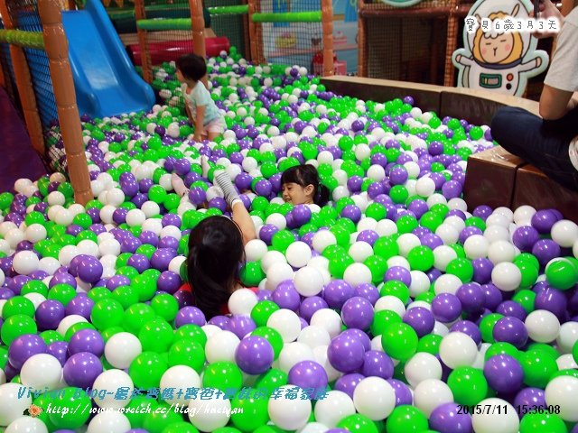 6Y2M-綿羊星IMG_486301.jpg