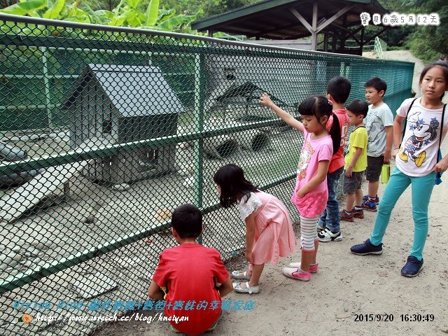 6Y5M-春天農場烤肉IMG_336601.jpg