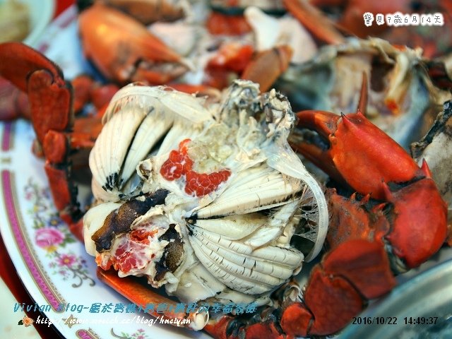 7Y6M-龜吼漁港IMG_834501.jpg