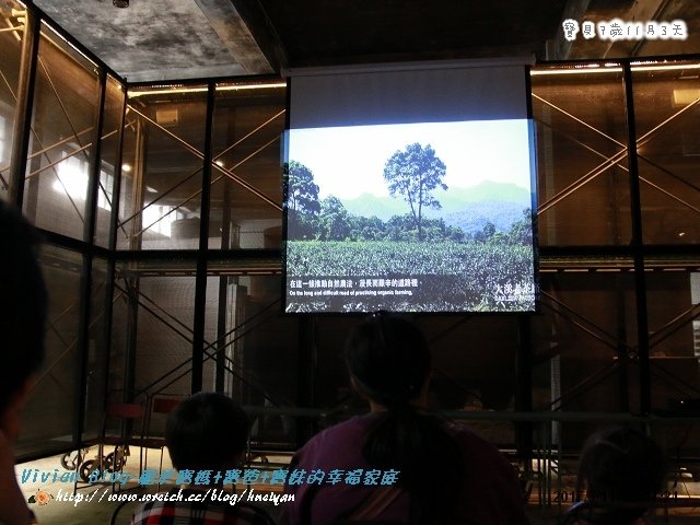 7Y11M-大溪老茶廠IMG_376201.jpg