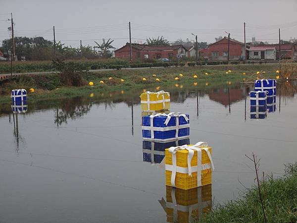 DSC01945