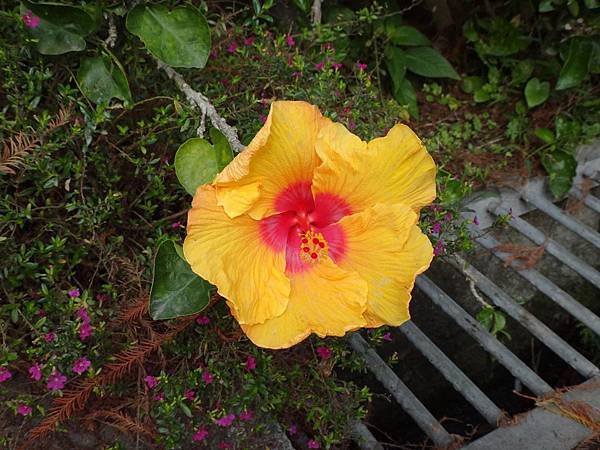 DSC01967