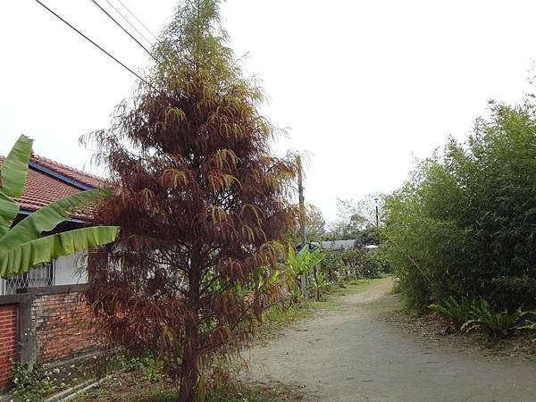 DSC01980