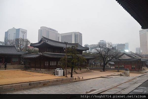 20160210韓國行_424 (复制).JPG