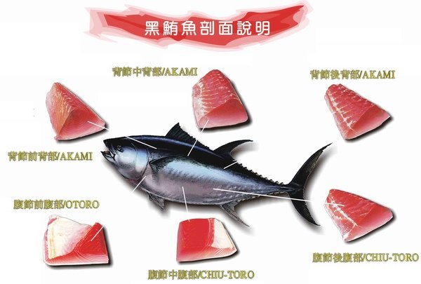 tuna1.jpg