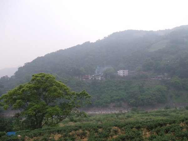 DSCF7603.JPG