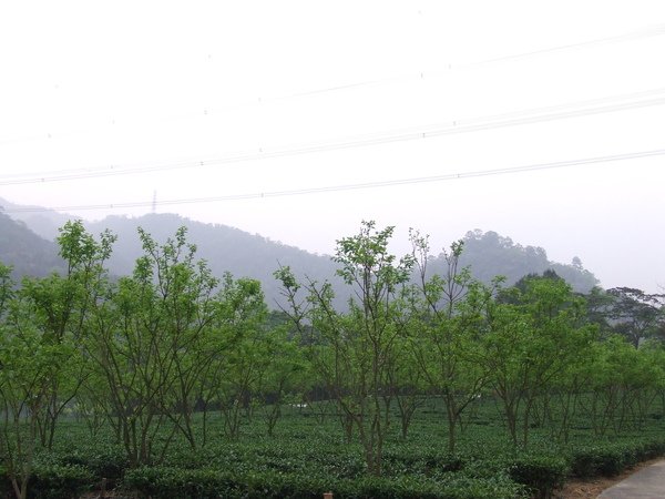 DSCF7604.JPG