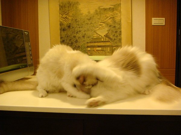 DSC01502.JPG