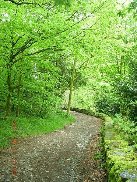 Orrest Head footpath