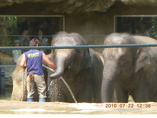 上野動物園,我知道你口袋有零食.....給我!~